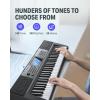 imageDonner 61 Key Keyboard Piano Electric Piano Keyboard Kit with 249 Voices 249 Rhythms  Includes Piano Stand Stool Microphone Gift for Beginners Black DEK610SBlack