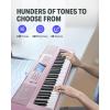 imageDonner 61 Key Keyboard Piano Electric Piano Keyboard Kit with 249 Voices 249 Rhythms  Includes Piano Stand Stool Microphone Gift for Beginners Black DEK610SPink Kit
