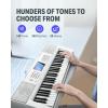 imageDonner 61 Key Keyboard Piano Electric Piano Keyboard Kit with 249 Voices 249 Rhythms  Includes Piano Stand Stool Microphone Gift for Beginners Black DEK610SWhite Kit