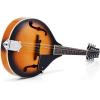 imageDonner A Style Mandolin Instrument Sunburst Beginner Adult Acoustic Mandolin Musical Instrument Mahogany 8 String Bundle With Tuner String Bag Guitar PicksDML1Sunburst