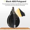 imageDonner A Style Mandolin Instrument Sunburst Beginner Adult Acoustic Mandolin Musical Instrument Mahogany 8 String Bundle With Tuner String Bag Guitar PicksDML1Black