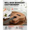 imageDonner Soprano Ukulele Mahogany 21 inch Ukelele Beginner Kit Online Lesson Gig Bag Strap Nylon String Tuner Picks Cloth DUS1 Ukalalee Set Christmas GiftBrown