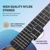 imageDonner Soprano Ukulele for Beginners 21 Inch Ukelele Starter Bundle Kit with Free Online Lessons Bag Strap String Tuner Picks Cloth Ukalalee Yukalalee BlackGradient Blue