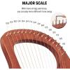 imageDonner Lyre Harp 10 Metal Strings Mahogany Body and Bone Saddle DLH002 Lyre Harp for Beginner Kids with Tuning Wrench Spare String Set Black Gig Bag Manual Ancient Greece Style16 Strings
