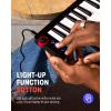 imageDonner Mini MIDI Keyboard N25 25 Key MIDI Controller for Beginner with VelocitySensitive Mini KeysampampLightup RockerampampMusic Production Software Small Controlador MIDI with 40 Teaching CoursesN25