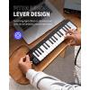 imageDonner Mini MIDI Keyboard N25 25 Key MIDI Controller for Beginner with VelocitySensitive Mini KeysampampLightup RockerampampMusic Production Software Small Controlador MIDI with 40 Teaching CoursesN32