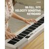 imageDonner Piano Keyboard 88 Keys Beginner Digital Piano VelocitySensitive Keys Portable Electric Piano with Stand Sustain Pedal Carrying Case and Keyboard Stickers DEP1White Set
