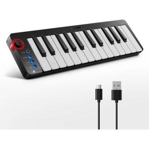 imageDonner Mini MIDI Keyboard N25 25 Key MIDI Controller for Beginner with VelocitySensitive Mini KeysampampLightup RockerampampMusic Production Software Small Controlador MIDI with 40 Teaching CoursesN25