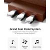 imageDonner DDP200 Pro Digital Piano 88 Key Graded Weighted Keyboard with 24 IPS Screen Cover Record Wireless Connection 100 Sounds 256 Polyphony Full Size Weighted Piano Keyboard BlackWood Grain