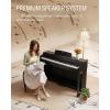imageDonner DDP100 Digital PianoDonner Duet Piano Bench with Storage